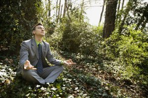 Umwelt und Business